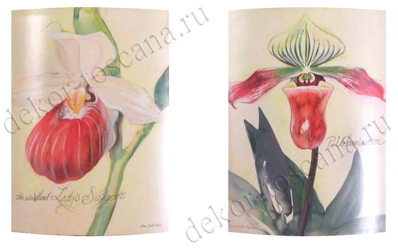 Elissa Della-Piana "Орхидеи"