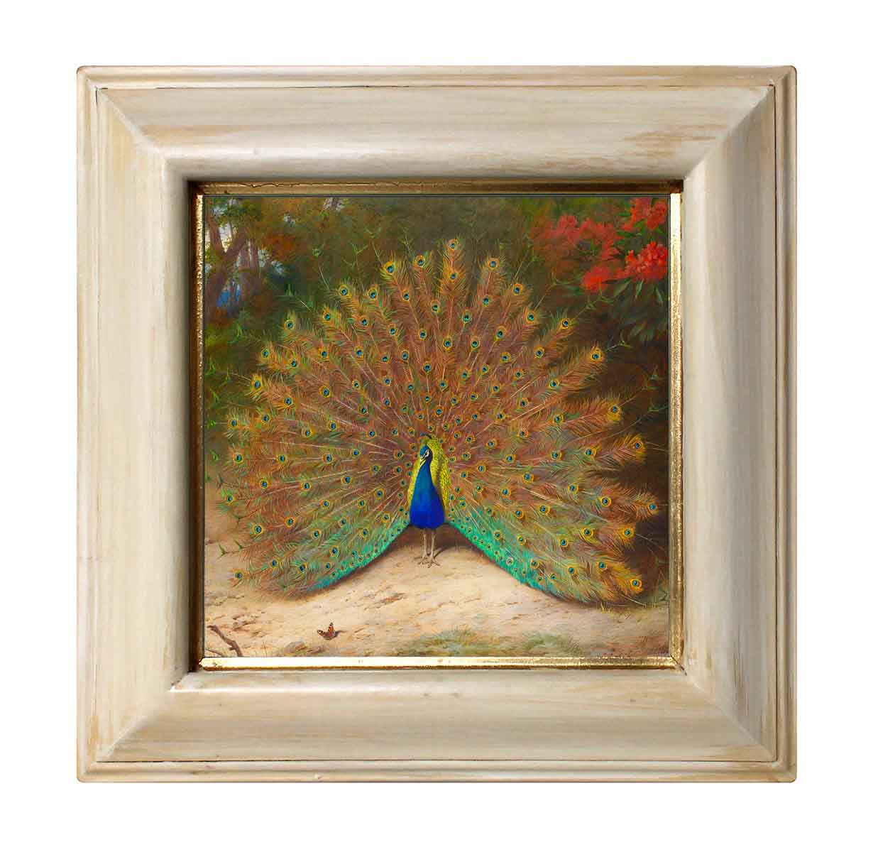 Павлин и бабочка